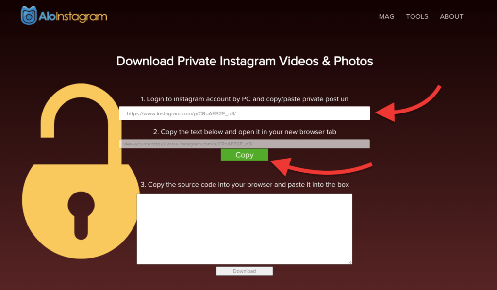 private account video downloader instagram