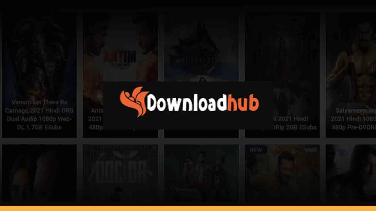 DownloadHub Run 2023 Download 300MB Movies from DownloadHub