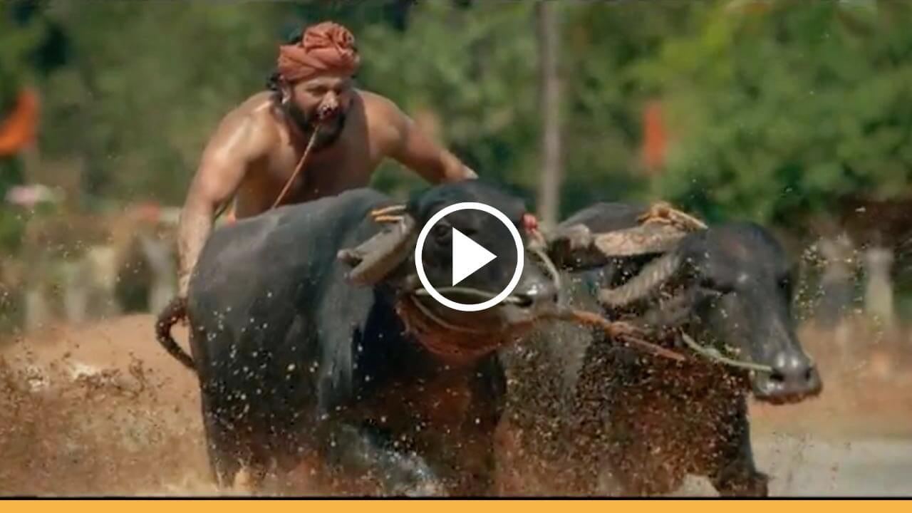 Kantara Movie in Hindi Download Free 720p Full HD (2022)