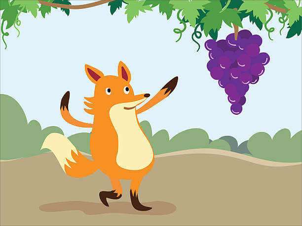 fox grapes 324
